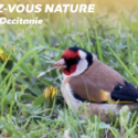 Rendez-vous Nature du Tarn et de la Haute-Garonne de janvier à juillet 2024