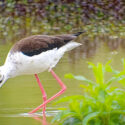 Une sortie au domaine de Mazères