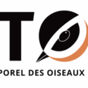 STOC 2026 : êtes-vous prêt ?